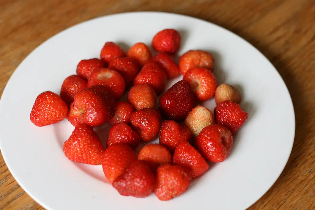 Erdbeerjoghurt - Rezept für 14 Portionen