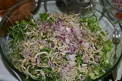Endivien-Sprossen Salat vor dem Mischen