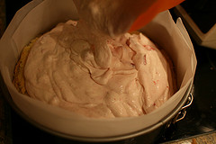 Die Erdbeer-Topfenfülle auf das Bisquit in die Form füllen