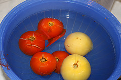 Die banchierten Tomaten in kaltem Wasser abschrecken